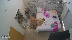 Click image for larger version. 

Name:	921.mp4_snapshot_03.30_[2024.11.26_08.53.21].jpg 
Views:	313 
Size:	88.9 KB 
ID:	10303
