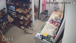 Click image for larger version. 

Name:	mm949.mp4_snapshot_08.09_[2024.12.22_18.18.50].jpg 
Views:	917 
Size:	90.6 KB 
ID:	10444