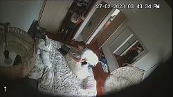 Click image for larger version. 

Name:	mm951.mp4_snapshot_05.27_[2024.12.26_07.55.26].jpg 
Views:	1319 
Size:	93.7 KB 
ID:	10465