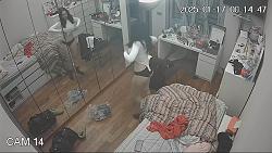 Click image for larger version. 

Name:	mm966.mp4_snapshot_00.29_[2025.01.26_06.42.15].jpg 
Views:	784 
Size:	100.1 KB 
ID:	10614