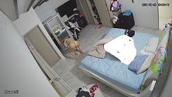 Click image for larger version. 

Name:	1344.mp4_snapshot_02.10_[2025.01.28_07.14.05].jpg 
Views:	1805 
Size:	87.6 KB 
ID:	10622