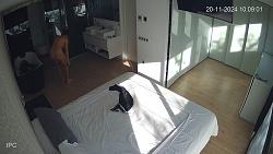Click image for larger version. 

Name:	mm971.mp4_snapshot_00.39_[2025.02.19_09.58.16].jpg 
Views:	722 
Size:	92.3 KB 
ID:	10658