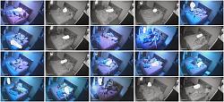 Click image for larger version. 

Name:	555.jpg 
Views:	203 
Size:	105.4 KB 
ID:	11113