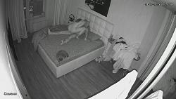 Click image for larger version. 

Name:	2031s.mp4_snapshot_18.22_[2025.08.01_07.22.37].jpg 
Views:	2 
Size:	88.7 KB 
ID:	11433