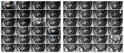 Click image for larger version. 

Name:	imgonline-com-ua-Collage-euNfd1Bpz4zB.jpg 
Views:	17616 
Size:	108.4 KB 
ID:	1155