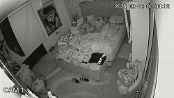 Click image for larger version. 

Name:	2063.mp4_snapshot_00.39_[2025.10.06_08.09.34].jpg 
Views:	74 
Size:	93.6 KB 
ID:	11765
