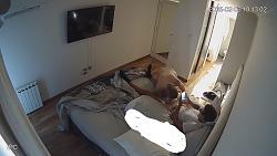 Click image for larger version. 

Name:	1459.mp4_snapshot_05.04_[2025.11.18_07.03.51].jpg 
Views:	66 
Size:	87.7 KB 
ID:	11957