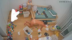 Click image for larger version.&nbsp;

Name:	1463.mp4_snapshot_01.45_[2025.11.29_07.25.42].jpg&nbsp;
Views:	408&nbsp;
Size:	96.4 KB&nbsp;
ID:	12000