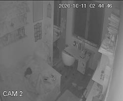 Click image for larger version.&nbsp;

Name:	mm1117.mp4_snapshot_04.46_[2026.01.03_16.52.38].jpg&nbsp;
Views:	247&nbsp;
Size:	40.3 KB&nbsp;
ID:	12144