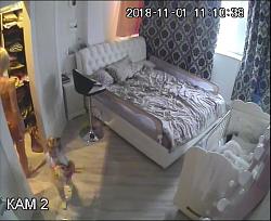 Click image for larger version. 

Name:	21bl.avi_snapshot_00.42_[2018.11.02_09.48.14].jpg 
Views:	2447 
Size:	75.1 KB 
ID:	1534