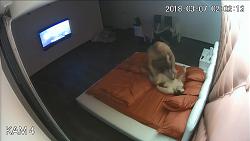 Click image for larger version. 

Name:	31.avi_snapshot_00.28_[2018.11.07_13.04.34].jpg 
Views:	1426 
Size:	82.9 KB 
ID:	1572