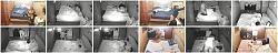 Click image for larger version. 

Name:	imgonline-com-ua-Collage-BpdxNKN3B6z.jpg 
Views:	16253 
Size:	123.6 KB 
ID:	1678