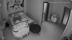 Click image for larger version. 

Name:	275.mp4_snapshot_03.34.871.jpg 
Views:	1122 
Size:	77.4 KB 
ID:	2403