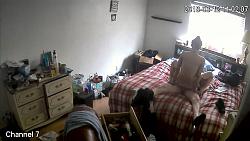 Click image for larger version. 

Name:	100.mp4_snapshot_08.45.866.jpg 
Views:	1072 
Size:	87.4 KB 
ID:	2471