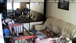 Click image for larger version. 

Name:	16.mp4_snapshot_01.20_[2018.05.23_19.57.12].jpg 
Views:	8182 
Size:	99.6 KB 
ID:	274