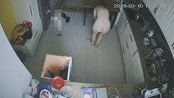 Click image for larger version. 

Name:	369.avi_snapshot_00.10.000.jpg 
Views:	987 
Size:	86.8 KB 
ID:	2829