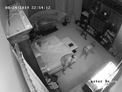Click image for larger version. 

Name:	156.mp4_snapshot_07.55.000.jpg 
Views:	860 
Size:	74.3 KB 
ID:	3105