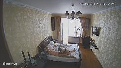 Click image for larger version. 

Name:	448.mp4_snapshot_07.27.390.jpg 
Views:	1676 
Size:	95.0 KB 
ID:	3213