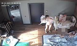 Click image for larger version. 

Name:	450.mp4_snapshot_50.30.109.jpg 
Views:	1584 
Size:	97.0 KB 
ID:	3219