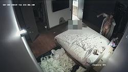 Click image for larger version. 

Name:	493.mp4_snapshot_00.41.767.jpg 
Views:	1176 
Size:	94.1 KB 
ID:	3400