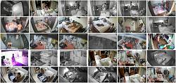 Click image for larger version. 

Name:	Mox1.jpg 
Views:	6850 
Size:	108.4 KB 
ID:	3427