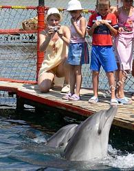 Click image for larger version. 

Name:	73.jpg 
Views:	3885 
Size:	94.7 KB 
ID:	352
