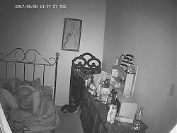 Click image for larger version. 

Name:	208.mp4_snapshot_07.57.120.jpg 
Views:	730 
Size:	80.8 KB 
ID:	3680
