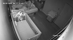 Click image for larger version. 

Name:	230.mp4_snapshot_10.00.699.jpg 
Views:	619 
Size:	84.5 KB 
ID:	3899