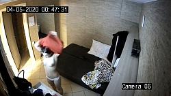 Click image for larger version. 

Name:	3.avi_snapshot_00.05.768.jpg 
Views:	4993 
Size:	94.3 KB 
ID:	3916