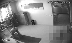 Click image for larger version. 

Name:	208.mp4_snapshot_04.50.905.jpg 
Views:	934 
Size:	46.5 KB 
ID:	4600