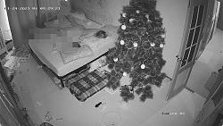 Click image for larger version. 

Name:	675.mp4_snapshot_06.54.056.jpg 
Views:	1031 
Size:	93.3 KB 
ID:	4629