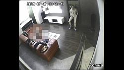 Click image for larger version. 

Name:	700.mp4_snapshot_00.26.712.jpg 
Views:	877 
Size:	79.6 KB 
ID:	4937