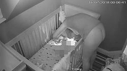 Click image for larger version. 

Name:	72.mp4_snapshot_00.31_[2018.11.17_18.55.48].jpg 
Views:	1132 
Size:	66.3 KB 
ID:	5174