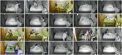 Click image for larger version. 

Name:	555.jpg 
Views:	18509 
Size:	104.0 KB 
ID:	5421
