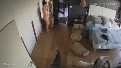 Click image for larger version. 

Name:	812.mp4_snapshot_00.48.000.jpg 
Views:	1238 
Size:	90.1 KB 
ID:	5838