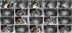 Click image for larger version. 

Name:	556.jpg 
Views:	1351 
Size:	106.5 KB 
ID:	5847