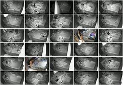Click image for larger version. 

Name:	555.jpg 
Views:	1637 
Size:	96.4 KB 
ID:	5880