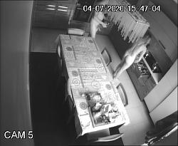 Click image for larger version. 

Name:	430.mp4_snapshot_00.06.536.jpg 
Views:	644 
Size:	65.8 KB 
ID:	5991