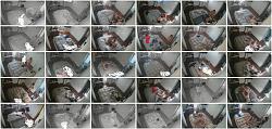 Click image for larger version. 

Name:	555.jpg 
Views:	1603 
Size:	105.6 KB 
ID:	6565
