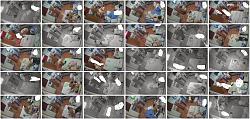 Click image for larger version. 

Name:	555.jpg 
Views:	1112 
Size:	107.3 KB 
ID:	6943