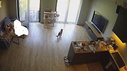 Click image for larger version. 

Name:	998.mp4_snapshot_00.59_[2022.09.28_10.31.44].jpg 
Views:	1619 
Size:	95.1 KB 
ID:	7169