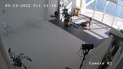 Click image for larger version. 

Name:	145.mp4_snapshot_04.22_[2022.11.19_09.29.28].jpg 
Views:	1395 
Size:	87.7 KB 
ID:	7377