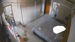 Click image for larger version. 

Name:	1093.mp4_snapshot_02.54_[2023.05.07_08.28.42].jpg 
Views:	687 
Size:	82.8 KB 
ID:	8012