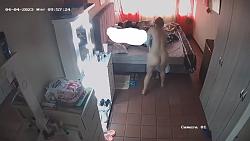 Click image for larger version. 

Name:	1103.mp4_snapshot_01.13_[2023.06.03_08.18.54].jpg 
Views:	1002 
Size:	67.3 KB 
ID:	8113