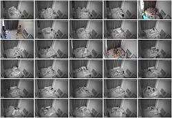 Click image for larger version. 

Name:	1.jpg 
Views:	23998 
Size:	94.2 KB 
ID:	822