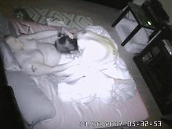 Click image for larger version. 

Name:	11.avi_snapshot_09.06_[2018.07.20_08.55.55].jpg 
Views:	2952 
Size:	40.2 KB 
ID:	859