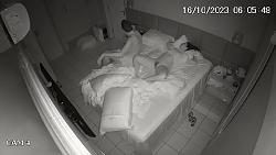 Click image for larger version. 

Name:	743.mp4_snapshot_09.10_[2023.10.22_08.47.40].jpg 
Views:	573 
Size:	84.4 KB 
ID:	8646