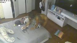 Click image for larger version. 

Name:	155.mp4_snapshot_04.07_[2023.11.17_07.08.43].jpg 
Views:	1323 
Size:	84.0 KB 
ID:	8743