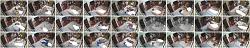 Click image for larger version. 

Name:	555.jpg 
Views:	1501 
Size:	119.7 KB 
ID:	8825