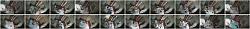 Click image for larger version. 

Name:	555.jpg 
Views:	2192 
Size:	124.7 KB 
ID:	9380